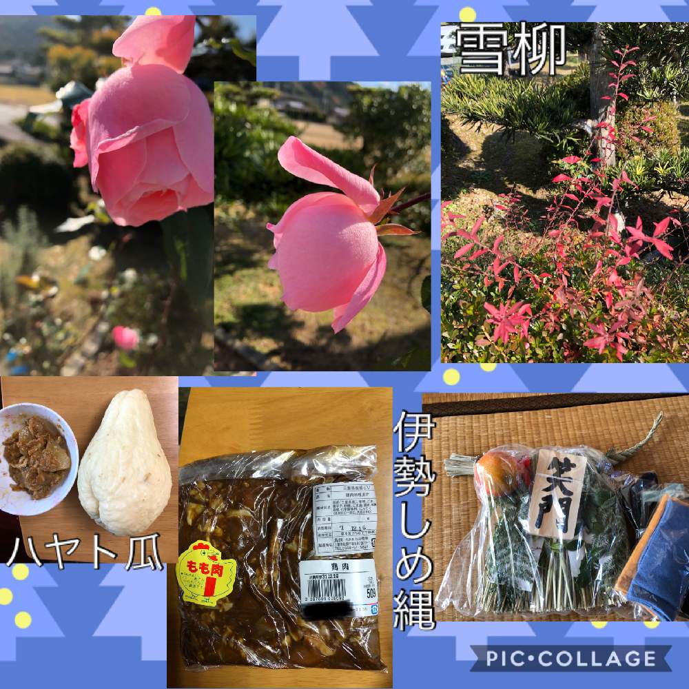 小さな庭の画像 by ピンクの山茶花さん | 小さな庭と花のある暮らしとばら バラ 薔薇と蕾みシリーズ