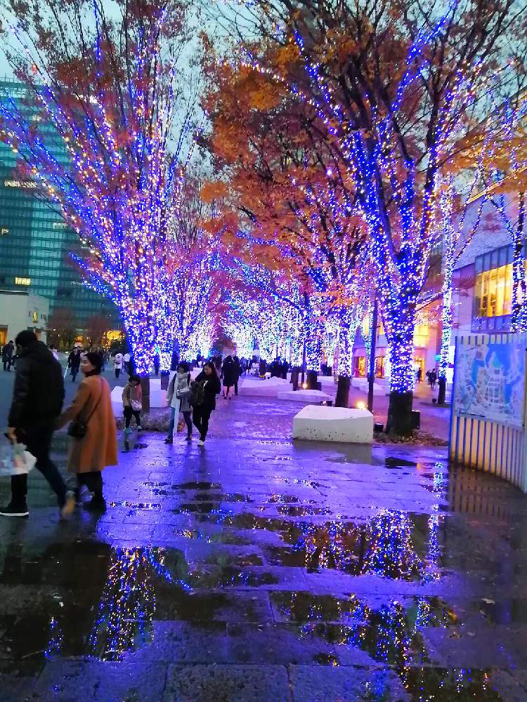 お出かけ先の画像 by チャーさん | お出かけ先とチャーさんのリポートとイルミネーションと季節の 便りとチャーさんの 里山歩きと横浜と里山歩きと神奈川県と横浜ミナトミライと年末とクリスマス