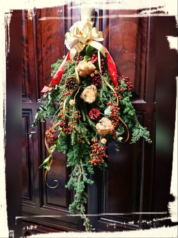 の画像 by シャルルさん | コットンブラウンと雪冠杉(セッカンスギ)と花のある暮らしとクリスマスリースフォトコンと赤い実とクリスマスリースとクリスマスホーリー♡とユーカリドライ