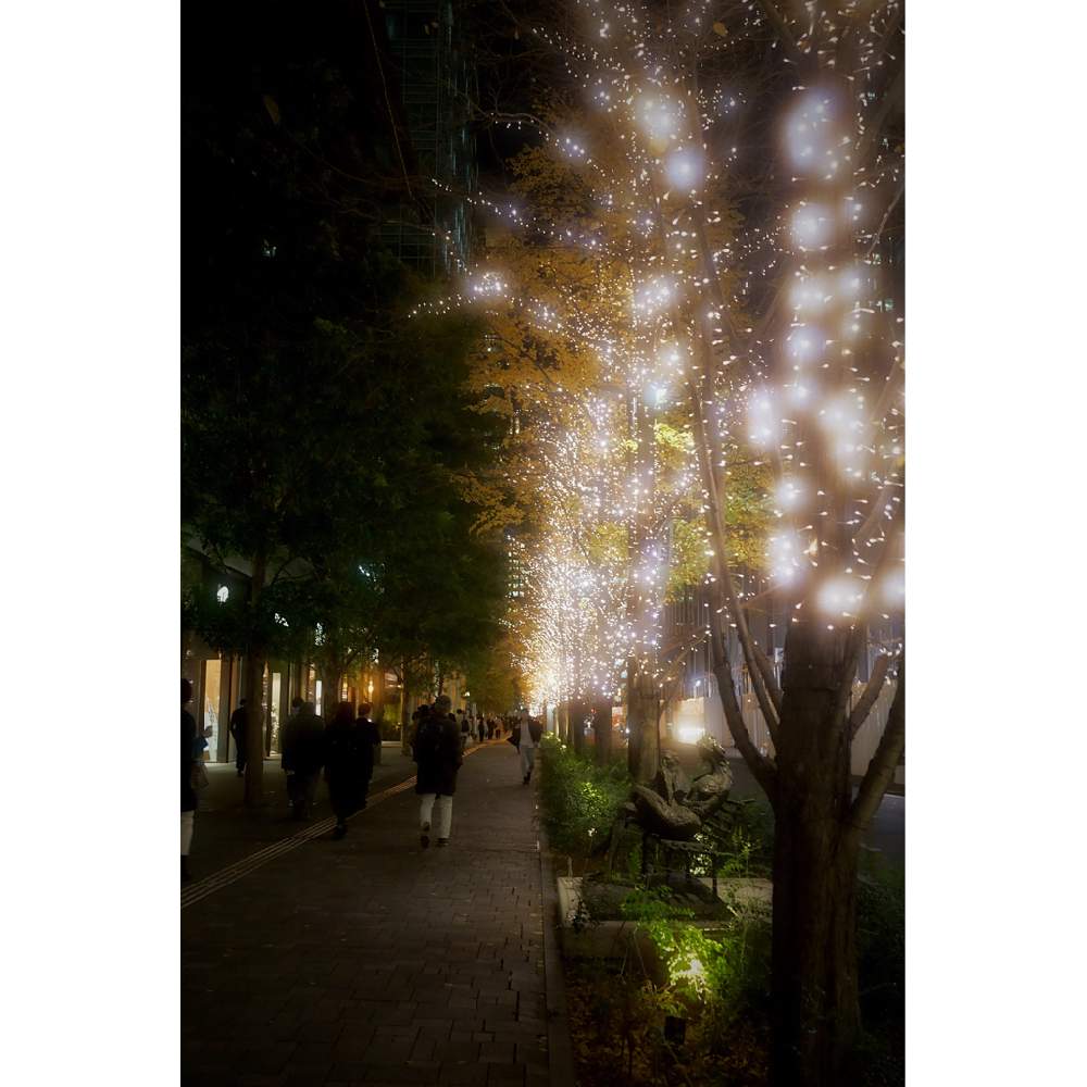の画像 by nesoさん | 銀杏とイチョウと大手町と大手町仲通りとイルミネーションと東京都千代田区とローカルカメラマンかな?!(笑)とベイヤーと東京駅とライトアップ
