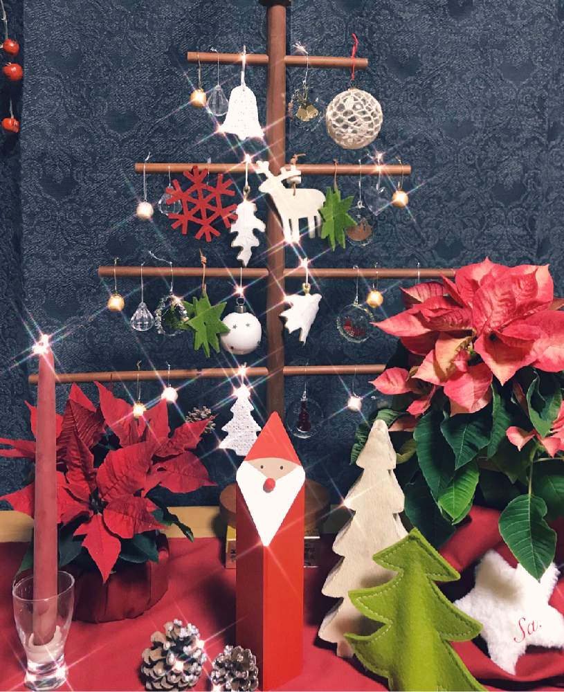 部屋の画像 by Sachieさん | 部屋とあか❤とポインセチア☆とポインセチア♡とクリスマスディスプレイとポインセチア 赤と花のある暮らし