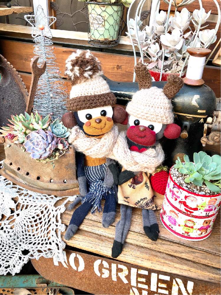 小さな庭の画像 by ❤︎15さん | 小さな庭とドドランタリスと多肉植物ともうすぐX'masだよソクモン祭りと吉坂包装とわが家の多肉スペースとGS映えと植中毒と可愛いがぁ❤︎とバラと夢CLUBと多肉2016同期と多肉女子と花の16年組♡とサビサビ❤︎と多肉小屋❤︎と花も多肉も好きとソクモン♥
