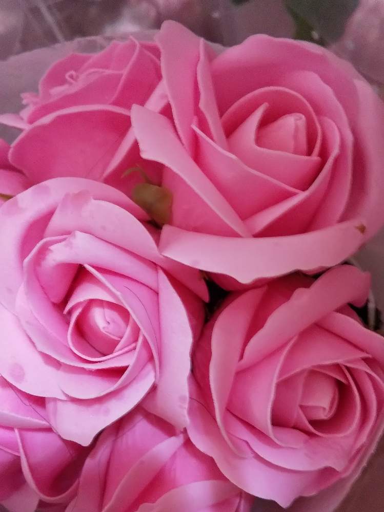 部屋の画像 by 薔薇まみさん | 部屋と薔薇 (ソープフラワー)と石鹸で出来たフラワーと元気をくれるとお花のある暮らしと心の癒しとお花は友達と薔薇大好きと良い香り