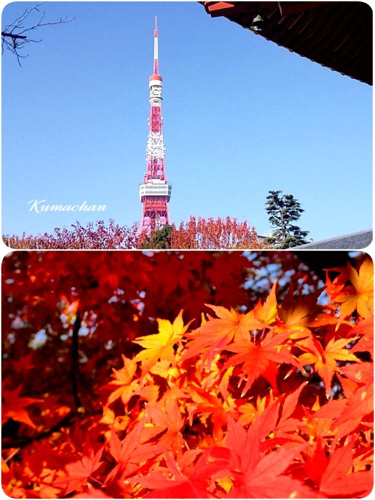 お出かけ先の画像 by Kumachanさん | お出かけ先とHTCとキュンキュン乙女倶楽部と芝公園と素敵~‼と東京タワーと冬の紅葉と12月生まれ♪
