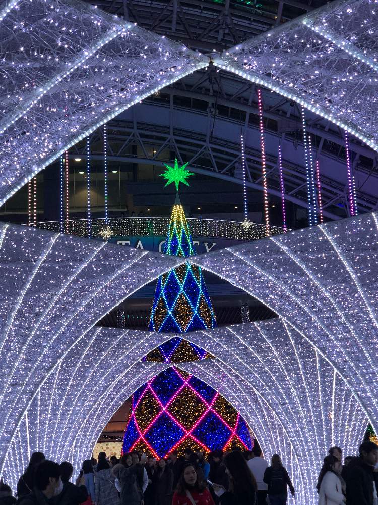 お出かけ先の画像 by Cocoさん | お出かけ先とクリスマスツリーとクリスマスイルミネーション