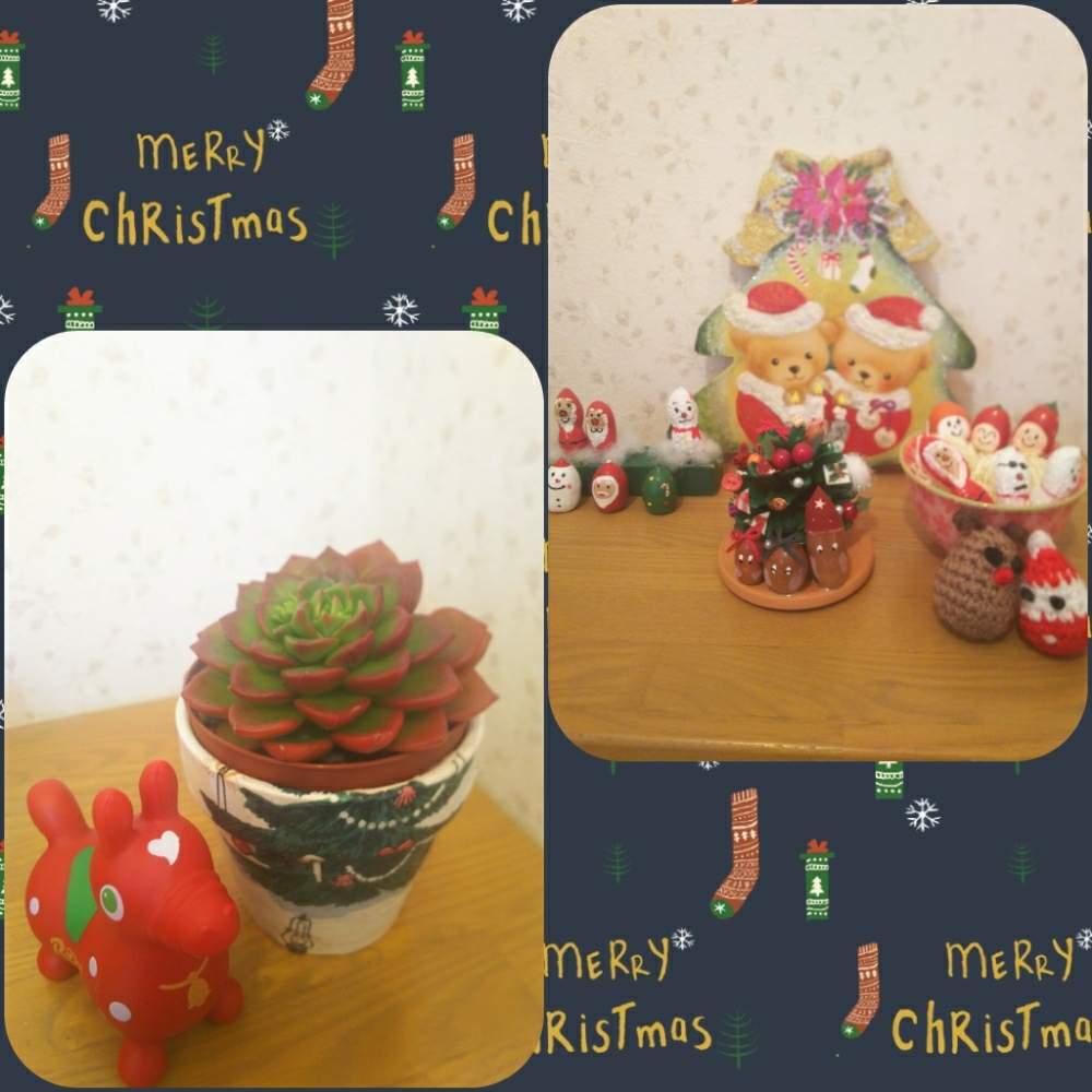 の画像 by mamiさん | レディジアとありがとう♡と晴れの国タニラーGPとバラと夢CLUBとつながりに感謝と私の宝物~❤としあわせ♡とかわいいな♡とたにおたくらぶとタニク初心者とクリスマス