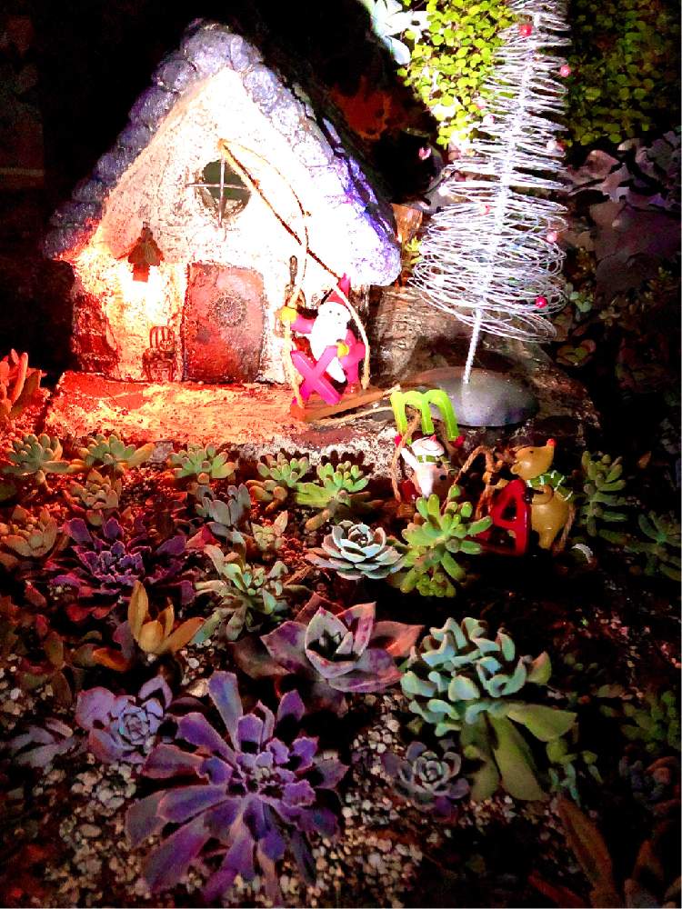 小さな庭の画像 by ❤︎15さん | 小さな庭と多肉植物と多肉ランド❤︎とモルタル造形とわが家の多肉スペースとGS映えと植中毒と可愛いがぁ❤︎とバラと夢CLUBと多肉2016同期と多肉女子とモルタルデコと花の16年組♡と地植えと花も多肉も好き
