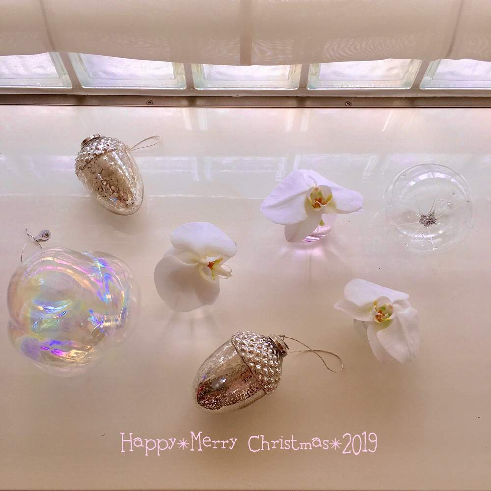 インテリアの画像 by yuki*さん | インテリアと胡蝶蘭とクリスマスディスプレイとchristmas decorationと花のある暮らしとディスプレイとクリスマスアレンジとクリスマス