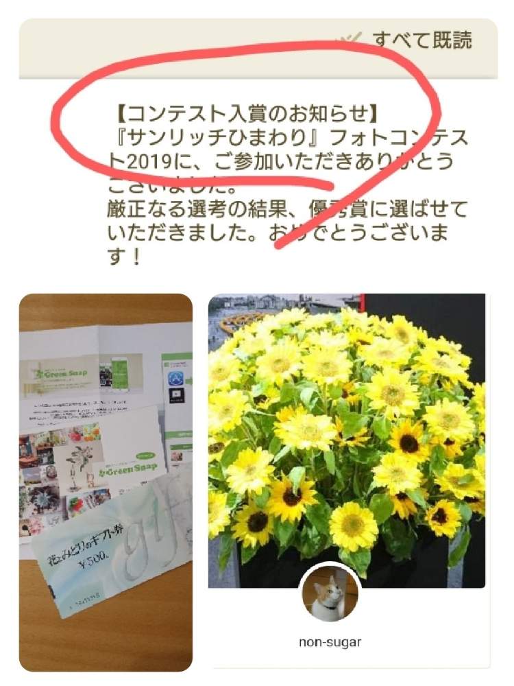 の画像 by non-sugarさん | 日本フラワー&ガーデンショウと当選!とサンリッチひまわりと優秀賞
