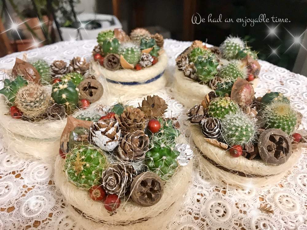 バルコニー/ベランダの画像 by nyacoさん | バルコニー/ベランダと多肉植物と木の実とサボテン☆と茶こしリースとサボテンの茶こしリースと多肉大好きとベランダガーデニングとサボテンリースとサボテンの寄せ植えと多肉女子と多肉植物とサボテンと多肉植物の寄せ植え♡とケーキみたいと花のある暮らしとかわいい多肉ちゃんとベランダーとタニク初心者とタニクちゃんと多肉植物 多肉の有るくらし