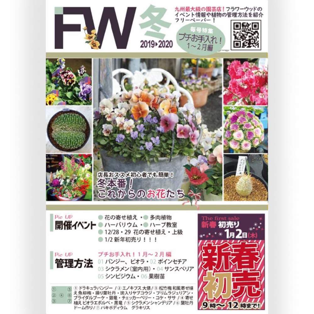 お出かけ先の画像 by フラワーウッドさん | お出かけ先と葉牡丹とパンジー ドラキュラと大俵と寄せ植え教室と多肉植物とガーデン雑貨と観葉植物と花鉢と寄せ植えとフラワーウッドと花壇とガーデニングショップとGS映えとGS日和と佐賀県と多肉女子とハーブとタニラーとガーデニングと花のある暮らしとお庭と多肉狩りとバルコニスト