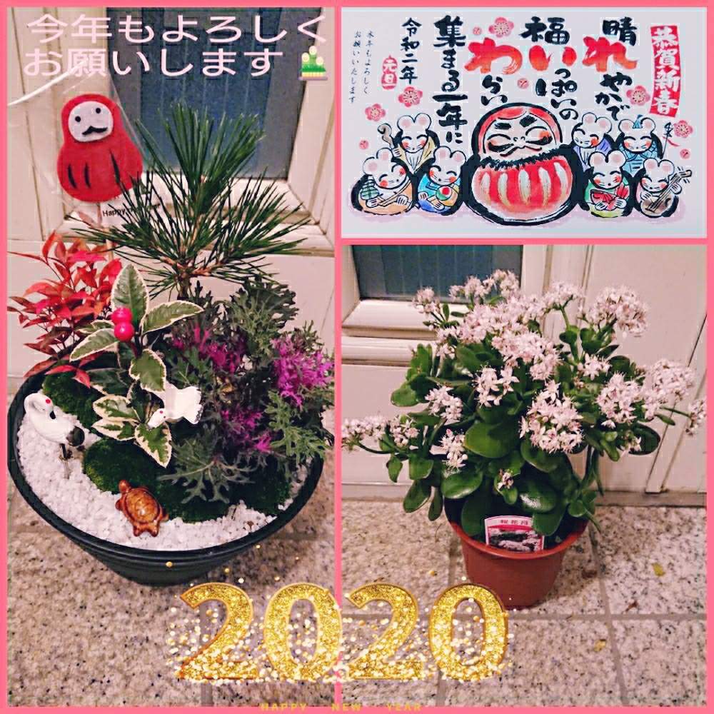 玄関の画像 by まゆゆさん | 玄関と桜花月と小さな喜びと❤️いいね、ありがとうと私の生き甲斐と私の幸せと花のある暮らしと繋がりに感謝✨と癒しのひと時
