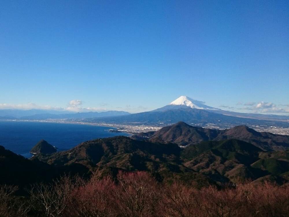 お出かけ先の画像 by leeさん | お出かけ先としぞーか勢とno green no lifeとお正月とGREEN UP!と青空