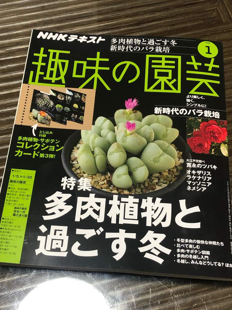 部屋の画像 by タケシ(・∀・)さん | 部屋と植物雑誌と植中毒と2020新春