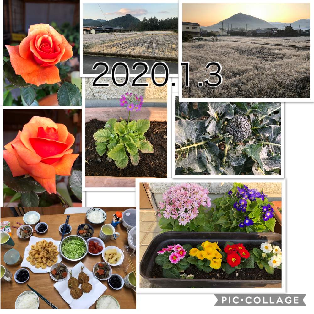 お出かけ先の画像 by ピンクの山茶花さん | お出かけ先と花のある暮らしとご近所さんのお花