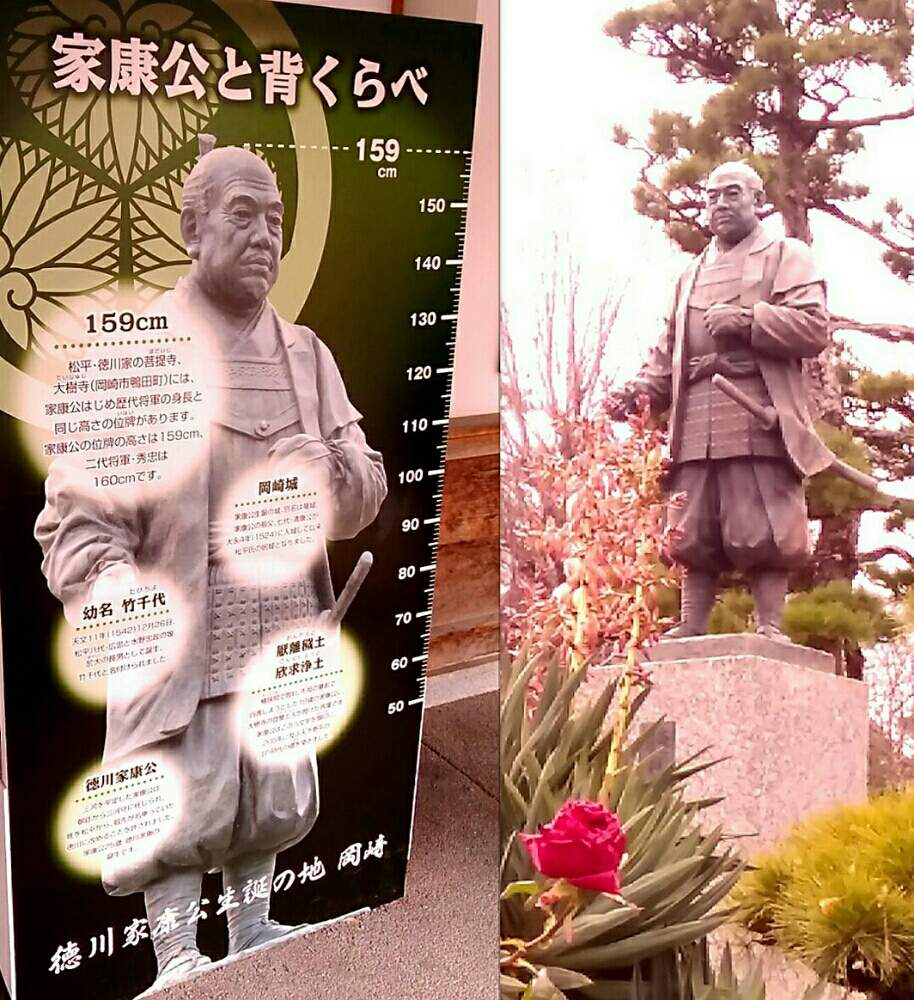 お出かけ先の画像 by ⭐CB1⭐£36hm⭐さん | お出かけ先とバラと薔薇とまつと兎に角ゴイス❗と植物と言えば・・・と⭐winter garden❤️と☆てるてるお天気〜☆とGS映えと屋敷住まいとその後・・・と⭐ cheers⭐とbreakfast, lunch, teatime and supperと縁起善き哉〜☆と魔除け用とgreen & tea timeと花のある暮らし