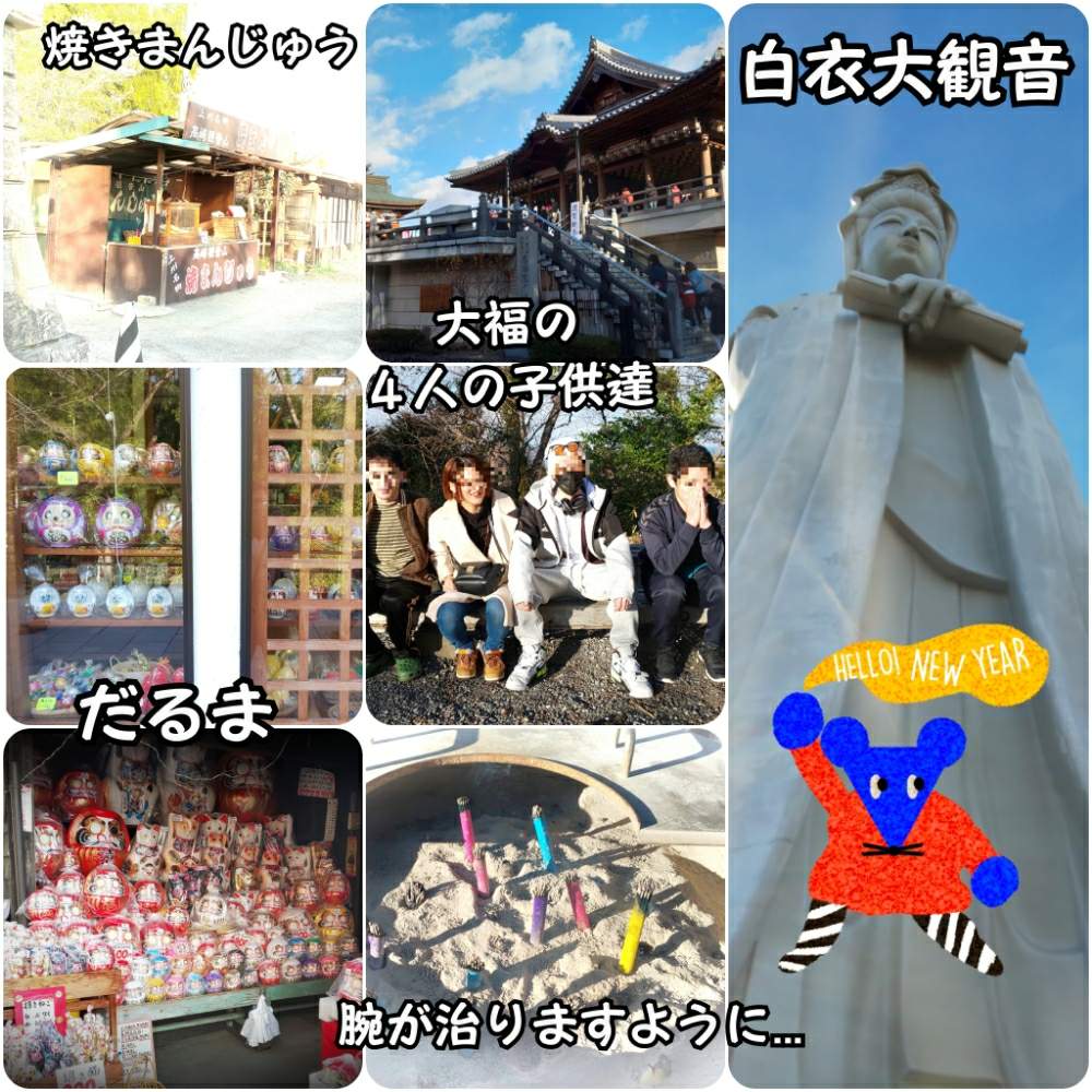 の画像 by 田中大福さん | 多肉植物と多肉ライフと多肉歴2年目と初詣と多肉大好きと多肉女子