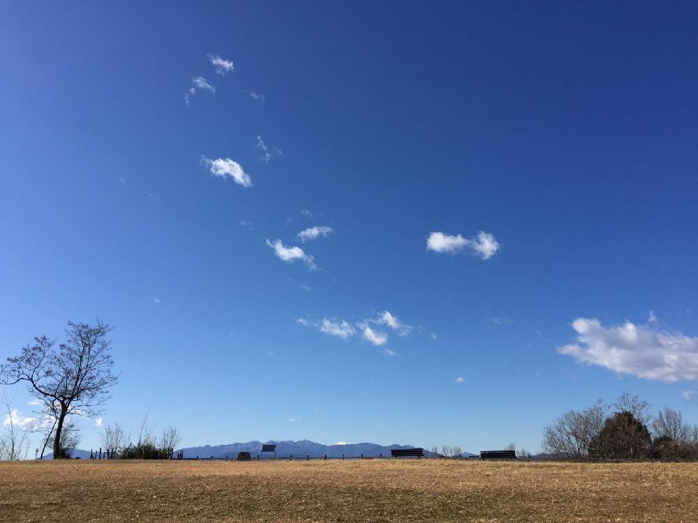 お出かけ先の画像 by 山に還るさん | お出かけ先と東京都と自然公園と丘陵公園と散策路と自然林と自然観察