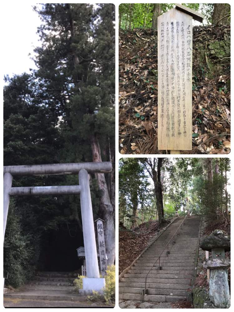 お出かけ先の画像 by 花華さん | お出かけ先と萩日吉神社とイロハ四十八石階段とときがわ町