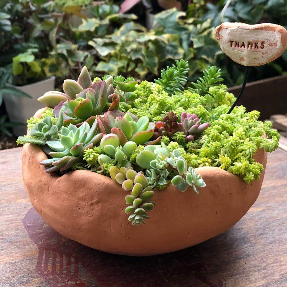 の画像 by R-greenさん | 多肉植物と多肉植物寄せると今日の庭と寄せ植えと好きなものを作るとtsuki先生のテラコッタ教室とセダム寄せ植えと手作りテラコッタと多肉寄せ植えとハンドメイドは楽しい