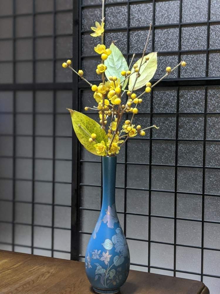 和室の画像 by ごろごろさん | 和室とヒヤミカチ首里城!とひやみかち首里城!と我輩は苔であると花のある暮らしと里山暮らしと台風被害が少ない様にと里山のある暮らしと蝋梅の花
