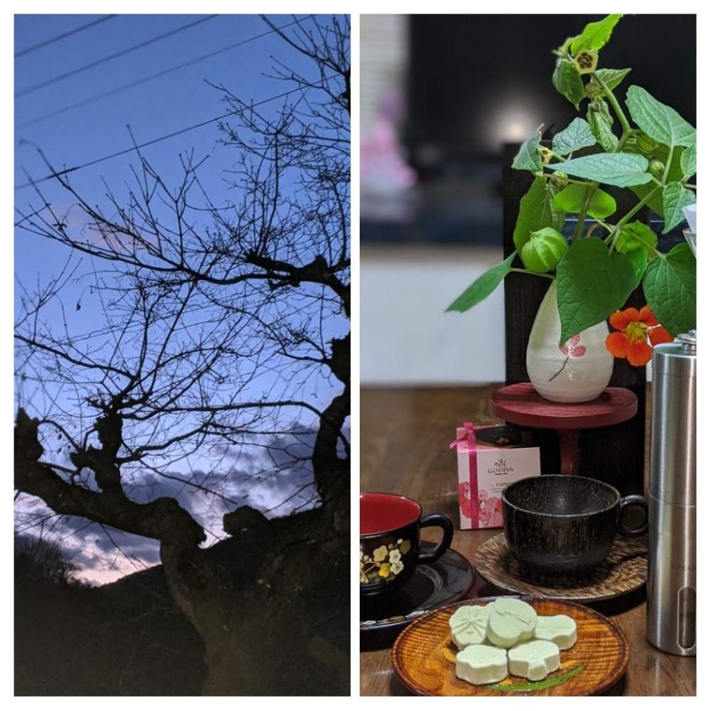 和室の画像 by ごろごろさん | 和室とヒヤミカチ首里城!とひやみかち首里城!と我輩は苔であると花のある暮らしと里山暮らしと家庭菜園奮闘日記と台風被害が少ない様にと里山のある暮らしと私をエコに連れてって〜