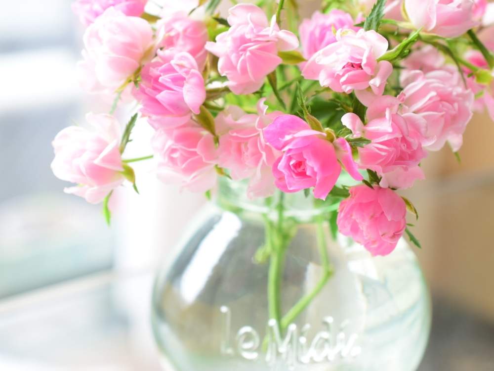 バルコニー/ベランダの画像 by quicoule❁*゚さん | バルコニー/ベランダと薔薇と教えて下さい!とquicoule's photoと相談とお花が好き♡と花のある暮らしと薔薇♪