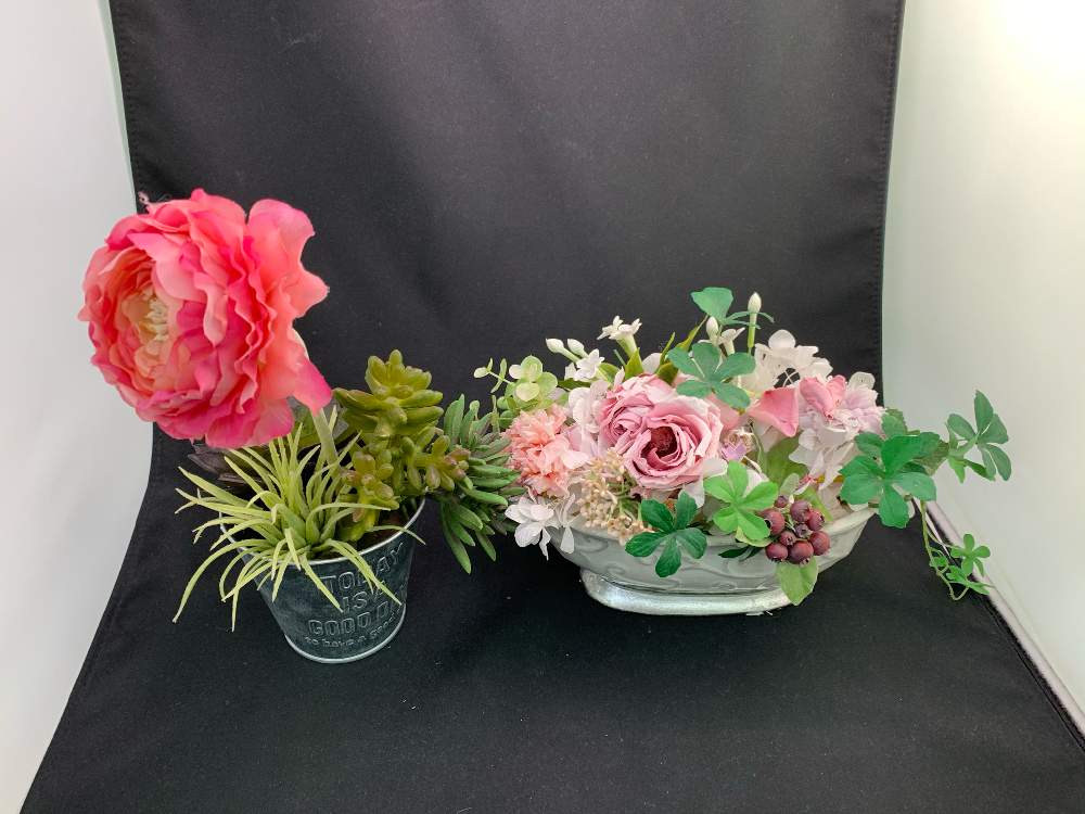 お出かけ先の画像 by 『薔薇の初心者教室』 How to grow Organic Roseさん | お出かけ先とYouTubeとYouTuber
