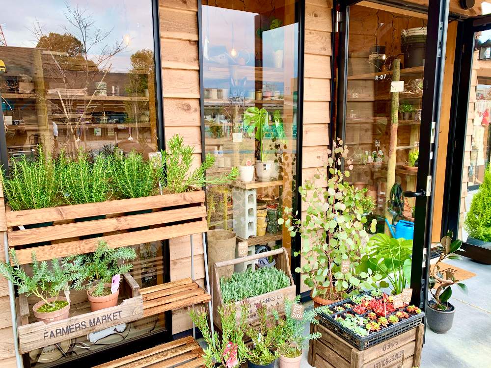 お出かけ先の画像 by Flower Villageさん | お出かけ先と横浜タニラーと多肉中毒と植物のある暮らしと多肉大好きと寄せ植えと神奈川タニラーとネスティングパーク黒川と多肉植物のある暮らしとエケベリア女子とエケベリア属とフラワービレッジと多肉女子とタニラーと観葉植物のある暮らしと花のある暮らしとflowervillageと葉っぱアートと多肉寄せ植えとビザールプランツ
