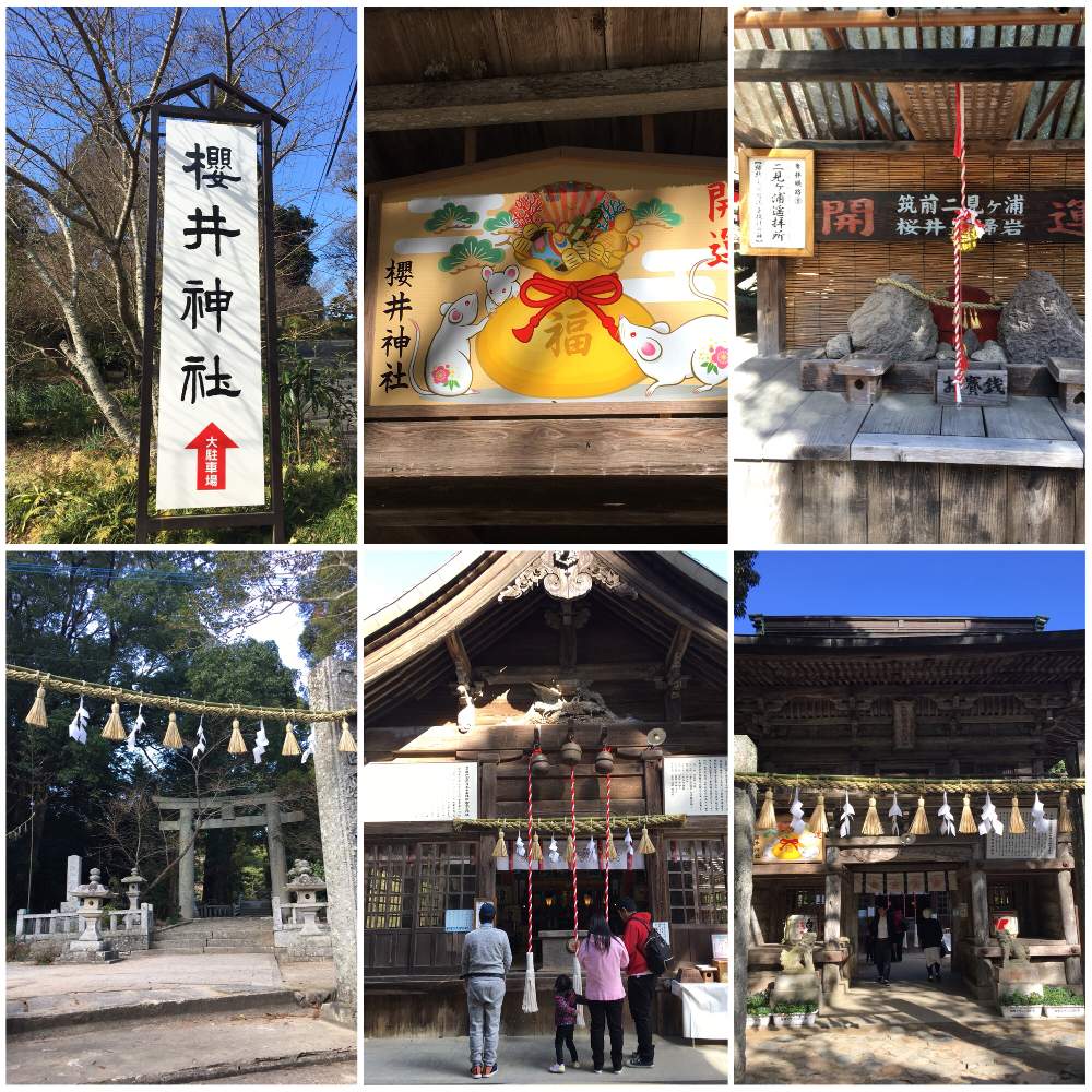 お出かけ先の画像 by nobuちゃんさん | お出かけ先と櫻井神社と初詣とGSのみなさんに感謝♡とGSに感謝。と縁結びとボタニカルスポット2020冬