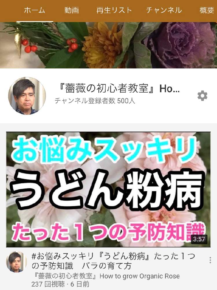 デスクの画像 by 『薔薇の初心者教室』 How to grow Organic Roseさん | デスクとYouTubeとローズショーとバラ初心者とばら バラ 薔薇と薔薇愛同盟と薔薇男子と薔薇女子と初めてのバラとバラの育て方とYouTuberと自然農法野菜と花のある暮らしと家庭菜園奮闘日記と無農薬有機栽培とバラ・ミニバラとロザリアンとバラの冬のお手入れと初めての薔薇とバラを楽しむとバラのお手入れ