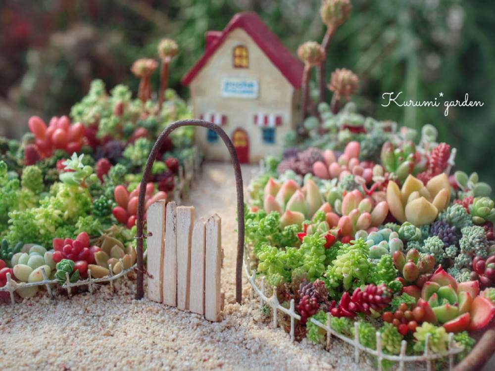 の画像 by くるみ*さん | セダム寄せと多肉植物 寄せ植えと箱庭とミニ多肉植物と箱庭 多肉植物と多肉植物とミニチュアガーデンと箱庭作りと冬の多肉植物とミニ多肉と小さな多肉植物♡と多肉箱庭とkurumi gardenとハンドメイド作品と東京ファンタスティックとお誘いと紅葉する多肉と多肉植物寄せ植えとナチュラルガーデンと多肉植物のある暮らしとくるみガーデンと小さな幸せ♡と小さな世界とKurumi*gardenとtokyofantasticとTOKYO FANTASTIC