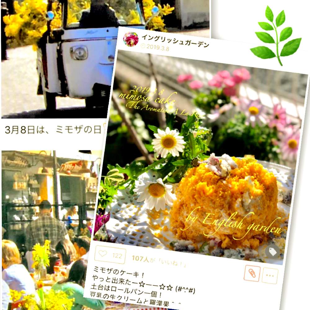 小さな庭の画像 by イングリッシュガーデンさん | 小さな庭とノースポールとミモザとかわいい♡とEG料理とGS映えと綺麗なお花とお庭の植物とLUMIX DMC-L10とEGコラージュと可愛いと花のある暮らしとGSアダルトチームとかわいいな♡と色合いがキレイ
