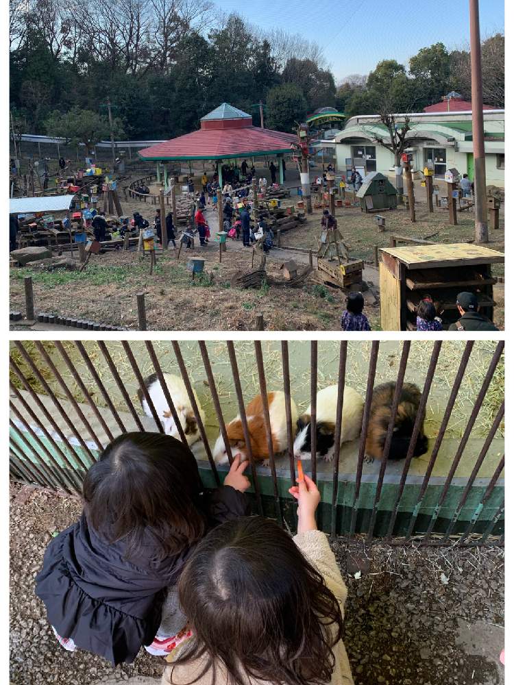 お出かけ先の画像 by ぷ〜にゃん♪さん | お出かけ先と東京の冬景色と東京、大好き ♡と町田リス園とリスとモルモット