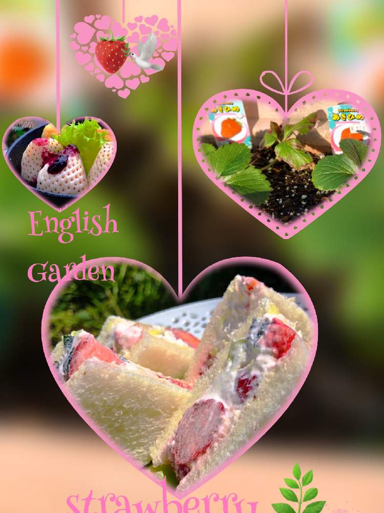 キッチンの画像 by イングリッシュガーデンさん | キッチンといちご章姫といちごとかわいい♡とEG料理とGS映えと職場と綺麗なお花とお庭の植物とEGコラージュと毎月15日はいちごの日と可愛いと花のある暮らしとGSアダルトチームとかわいいな♡と色合いがキレイ