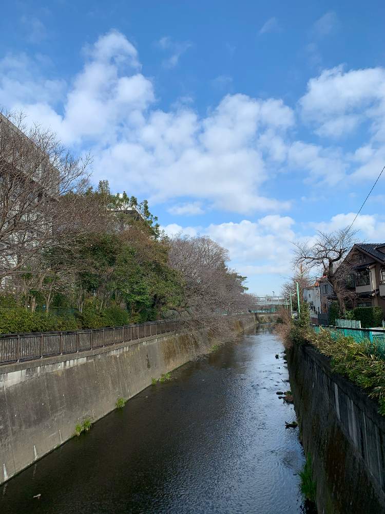 お出かけ先の画像 by ぷ〜にゃん♪さん | お出かけ先と世田谷区と東京の冬景色と東京、大好き ♡