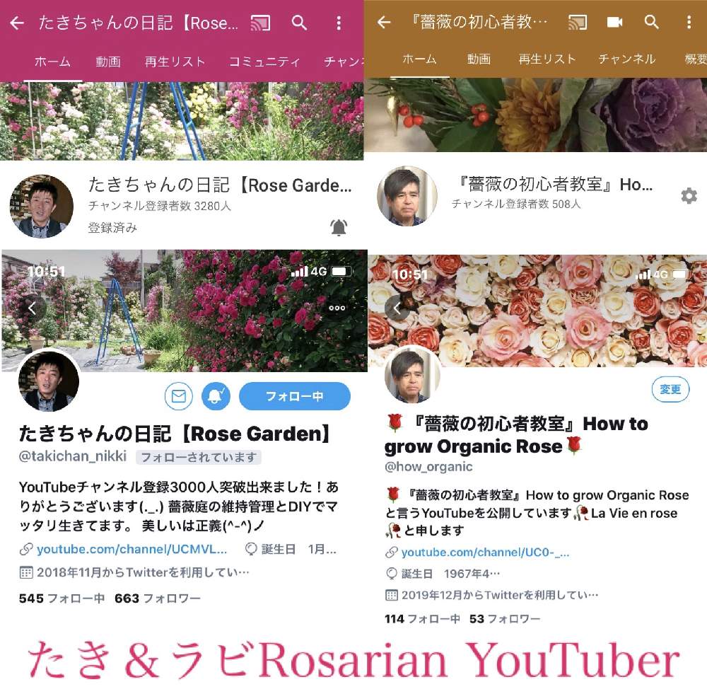 デスクの画像 by 『薔薇の初心者教室』 How to grow Organic Roseさん | デスクとYouTubeとローズショーとバラ初心者と薔薇愛同盟と薔薇男子と薔薇女子と初めてのバラと仲良しRosarian YouTuberとバラの育て方とYouTuberと花のある暮らしとバラ・ミニバラとロザリアンとバラを楽しむとバラのお手入れとロザリアンメンズ