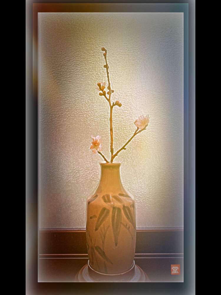 窓辺の画像 by Kazyanさん | 窓辺と白梅の花と白梅シリーズ 和堂と生花シリーズ 和堂と梅シリーズ 和堂と小さな花器と花器の色々 和堂