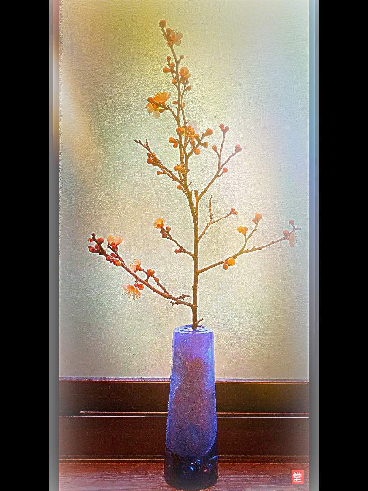 窓辺の画像 by Kazyanさん | 窓辺と白梅の花と白梅シリーズ 和堂と生花シリーズ 和堂と梅シリーズ 和堂と小さな花器と花器の色々 和堂