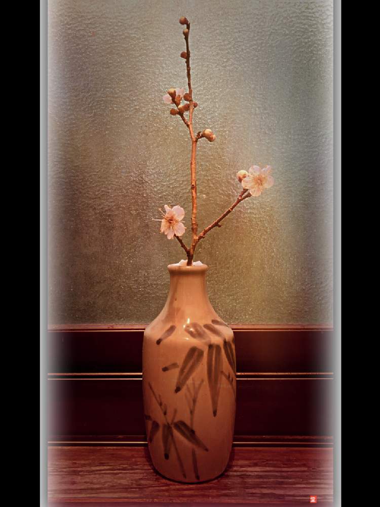 窓辺の画像 by Kazyanさん | 窓辺と白梅の花と白梅シリーズ 和堂と生花シリーズ 和堂と小さな花器と花器の色々 和堂