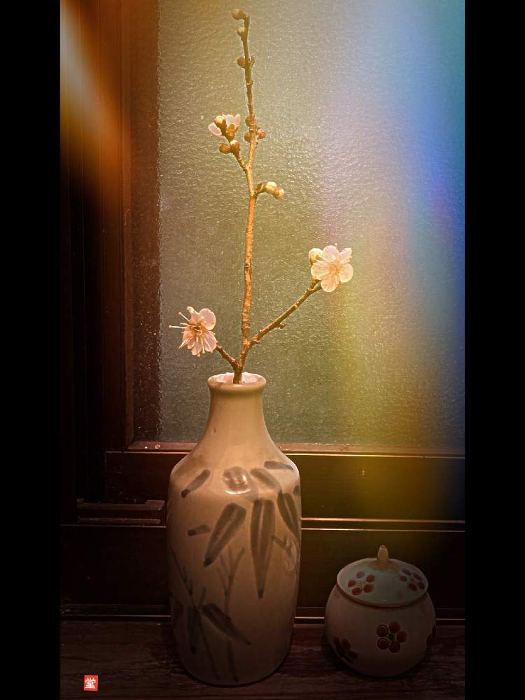 窓辺の画像 by Kazyanさん | 窓辺と白梅の花と白梅シリーズ 和堂と生花シリーズ 和堂と小さな花器と花器の色々 和堂