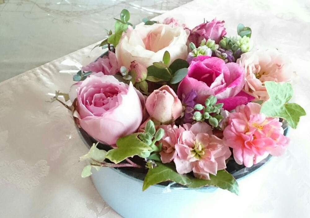 部屋の画像 by ナチュレ<2>さん | 部屋と薔薇アニエスシリジェルとバラと暮らすとアイビー❇︎とありがとう❤️とコーネリアとニンファとボックスフラワーとユーカリ♡と薔薇ナエマとバーガンディ・アイスバーグとナチュラルスタイルとバラが好きとフラワーボックスと花のある暮らしと ストック