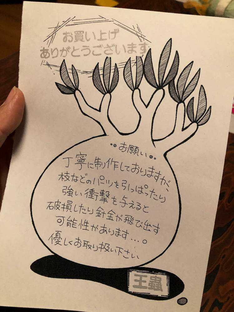アプローチの画像 by 王蟲さん | アプローチと落書きと神奈川タニラーとGS映えとGSミニモニ。と王蟲の手作りと多肉女子とお誘い