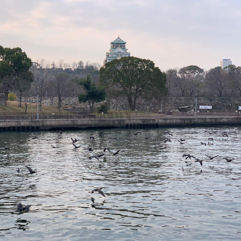 お出かけ先の画像 by Okavangoさん | お出かけ先と冬・OSAKAと通勤快足とThis morning!と大坂城と城郭・天守閣