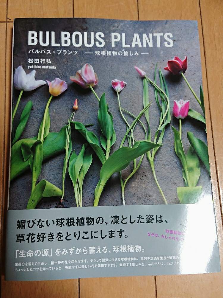 部屋の画像 by botanicallifeさん | 部屋と球根と書籍