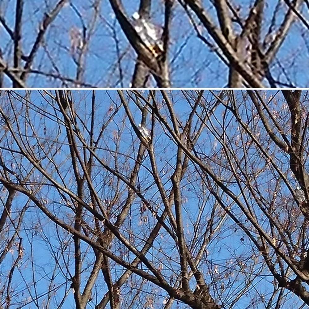 お出かけ先の画像 by さいたまつぼみさん | お出かけ先とお散歩と埼玉県と埼玉万歳