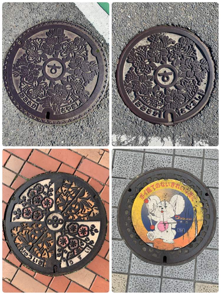 の画像 by anpunpunさん | マンホールと電鉄ウォークと1/19と堺市と大阪狭山市