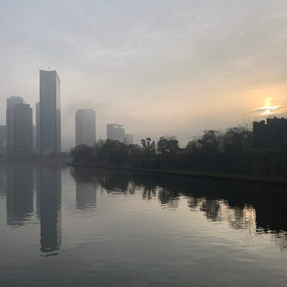 お出かけ先の画像 by Okavangoさん | お出かけ先と冬・OSAKAと通勤快足とThis morning!とGSお出かけネットと街のアート
