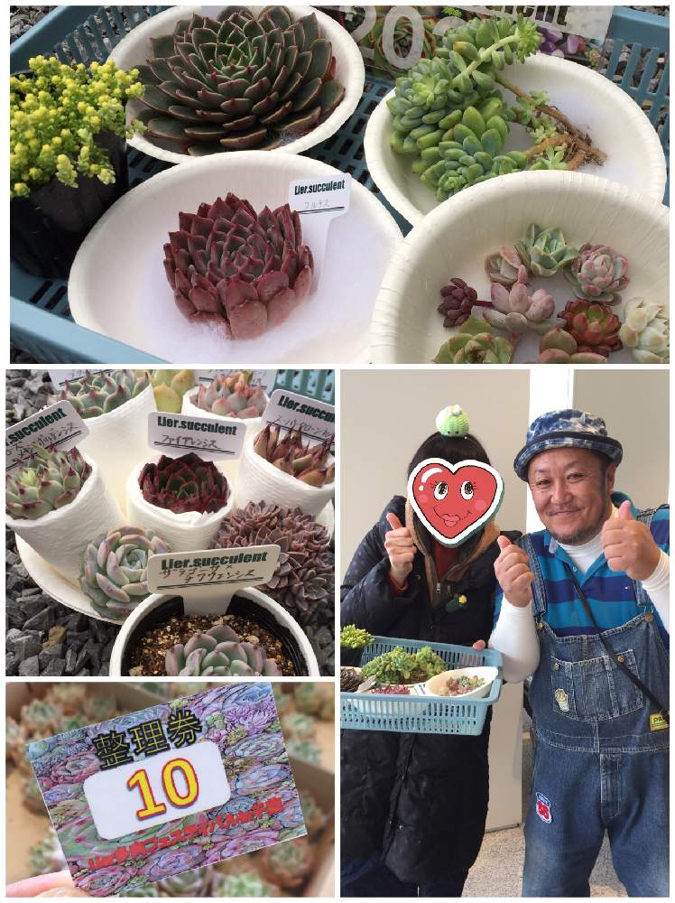 お出かけ先の画像 by あきさん | お出かけ先とロッティと多肉植物いろいろとアクレとエケベリア ルドルフとザラゴーサ×チワワエンシスとサランとコルテスとウインド オブ チェンジとブラックネイルとスーパークローンhybとヒーローズ×メキシコポルデンシスとファイアレンシスと(ザラゴーサ×エボニー)×ラズベリーアイスとセンセクイーンと多肉中毒と多肉植物と癒される♡とラブリー♡と植欲が止まらないと中山いい肉ん エケベリアと美人さん♡とNo TANIKU,No LifeとLier.多肉フェスティバルとワクワクドキドキと植欲旺盛とLier.succulentと大好き過ぎてどうしよう♡とたまらん♡とI am チワワ狂❗️ときれいだな♡と多肉植物ラブとかわいいな♡と千葉タニラーとLove♡チワワエンシス