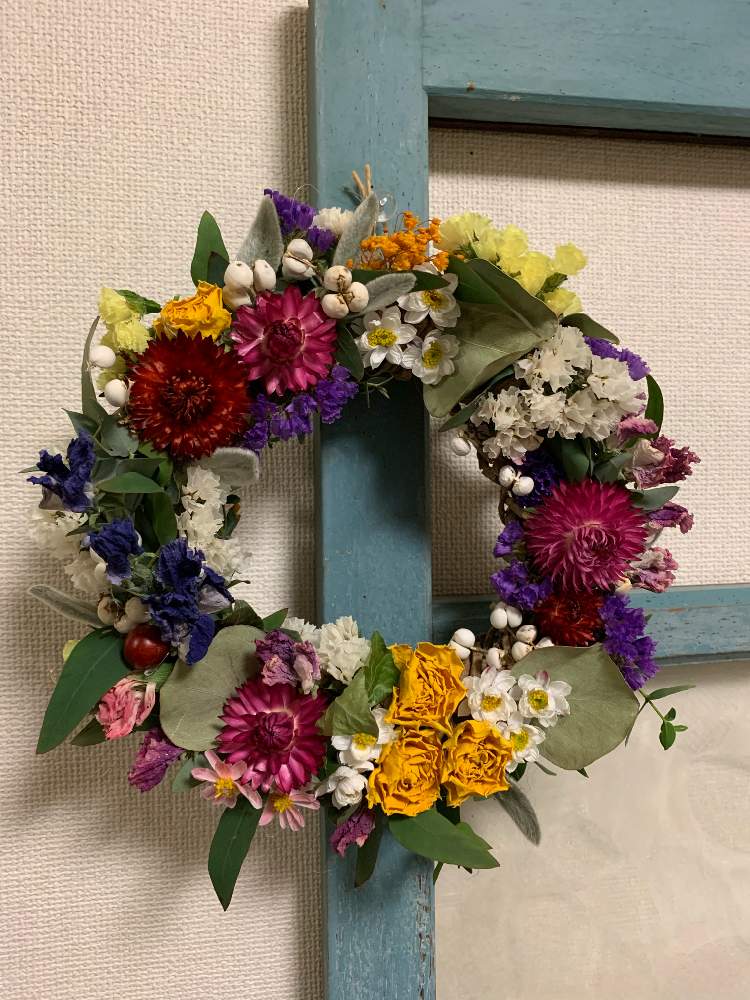 の画像 by ゆかりんさん | 春のリースとヘリクリサム属と多肉女子とリースと花かんざし。と黄色い薔薇♡とナンキンハゼ❁❀とアイビーのツルでリースとドライフラワー好きとスターチス♪